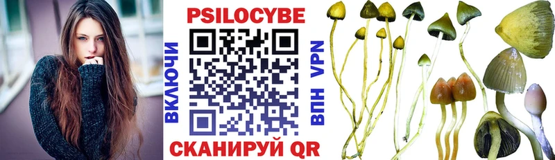 Псилоцибиновые грибы Magic Shrooms Челябинск